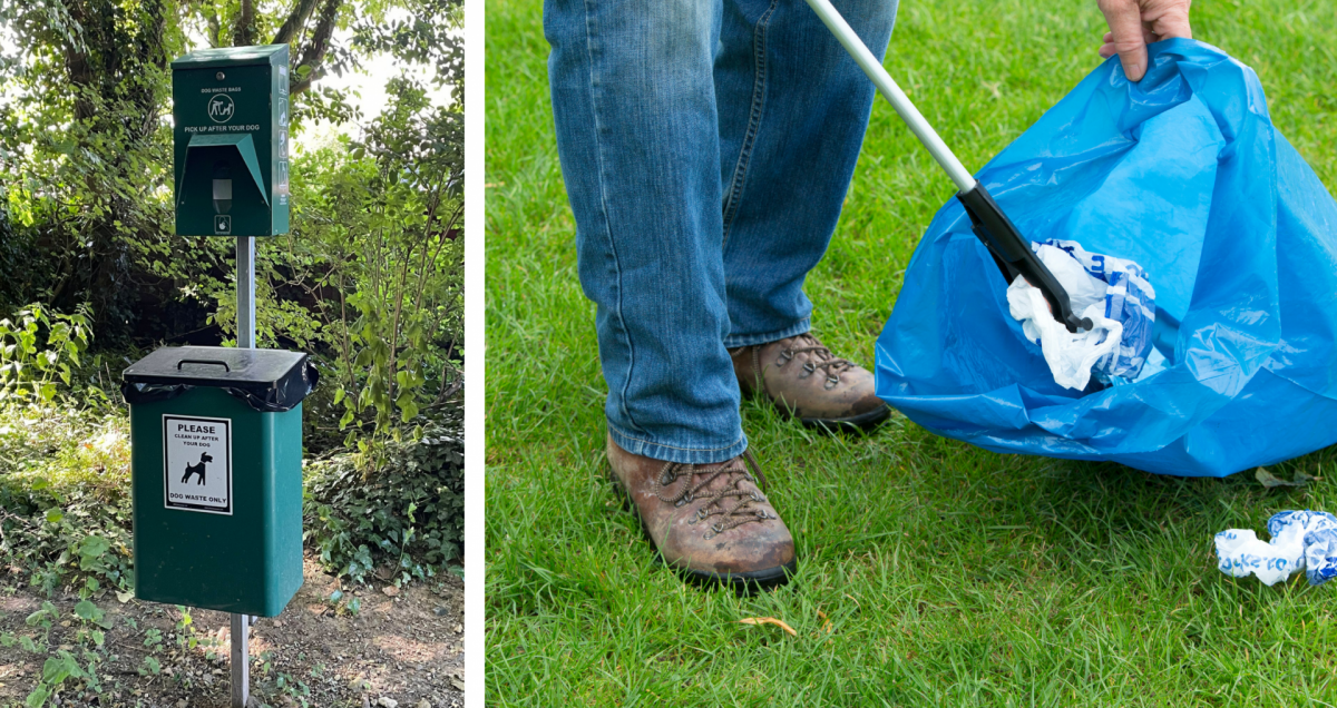 Image of dog waste station and litter picking